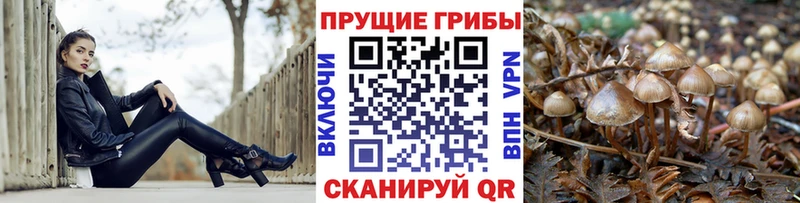 Галлюциногенные грибы прущие грибы  Купить закладки  Нягань 